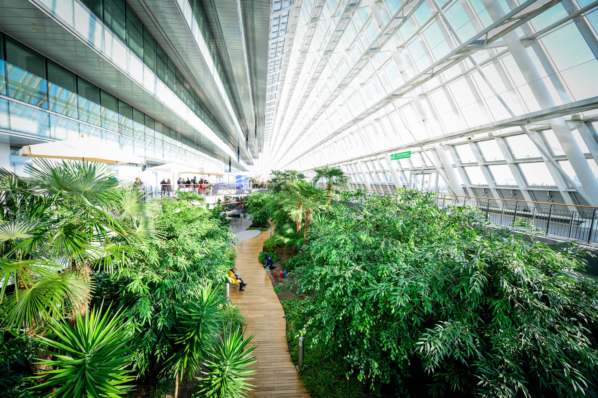 Hospitais adotam telhados verdes contra ilhas de calor 2 Ospedale dell'Angelo - Divulgação