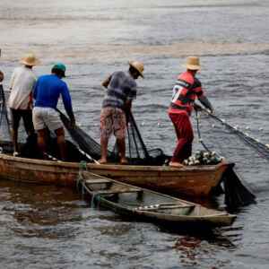 Incentivos ambientais fortalecem pescadores artesanais Foto: Governo Federal