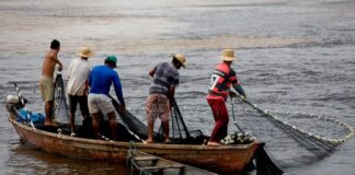 Incentivos ambientais fortalecem pescadores artesanais Foto: Governo Federal