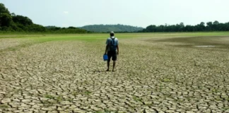 Agricultura sustentável aposta em dados para enfrentar a seca Reprodução
