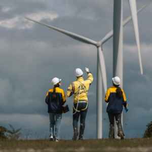 Governo amplia capacitação para empregos verdes Foto: Shutterstock