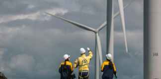 Governo amplia capacitação para empregos verdes Foto: Shutterstock