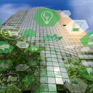 Carbono e preservação redesenham estratégia empresarial Reprodução