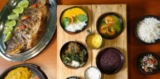 Gastronomia brasileira conquista o mundo com sabores amazônicos inesquecíveis Sabores da Amazônia que estão conquistando o mundo