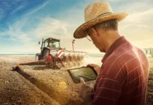 O drama dos 70% de produtores sem internet que deixa o campo em silêncio Foto: TIM/Divulgação