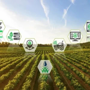 Do pirarucu com IA à bioeconomia milionária, cinco inovações que mudam a Amazônia e o Cerrado