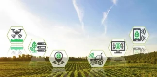 Do pirarucu com IA à bioeconomia milionária, cinco inovações que mudam a Amazônia e o Cerrado