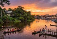 Fundo Amazônia libera R$ 80 milhões para produção sustentável A Amazônia não é vazia. Descubra o aquífero SAGA, os direitos das abelhas e como a ciência e saberes ancestrais se unem para salvar a floresta e o clima