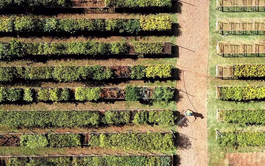 whatsapp image 2025 07 28 at 21.49.33