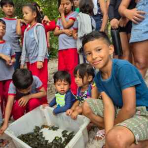 Comunidades da Amazônia devolvem quase mil quelônios à natureza