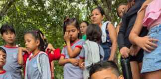 Comunidades da Amazônia devolvem quase mil quelônios à natureza