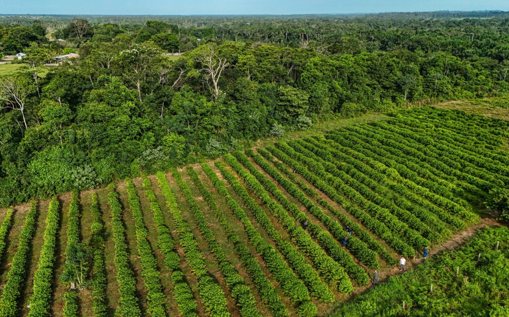 Foto: Marcos Vicentti/Secom
