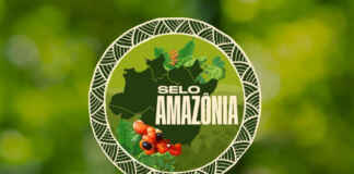 Norma principal do Selo Amazônia será apresentada ao mercado até maio Reprodução - O Dia