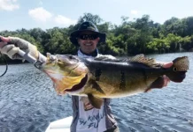 Governo estadual regulamenta atividade de pesca e impulsiona o turismo sustentável