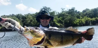 Governo estadual regulamenta atividade de pesca e impulsiona o turismo sustentável