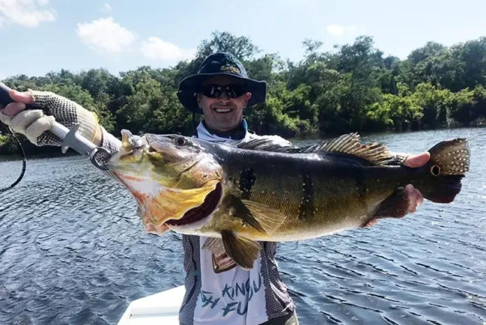 20250904180213-GC00070369-F00259912