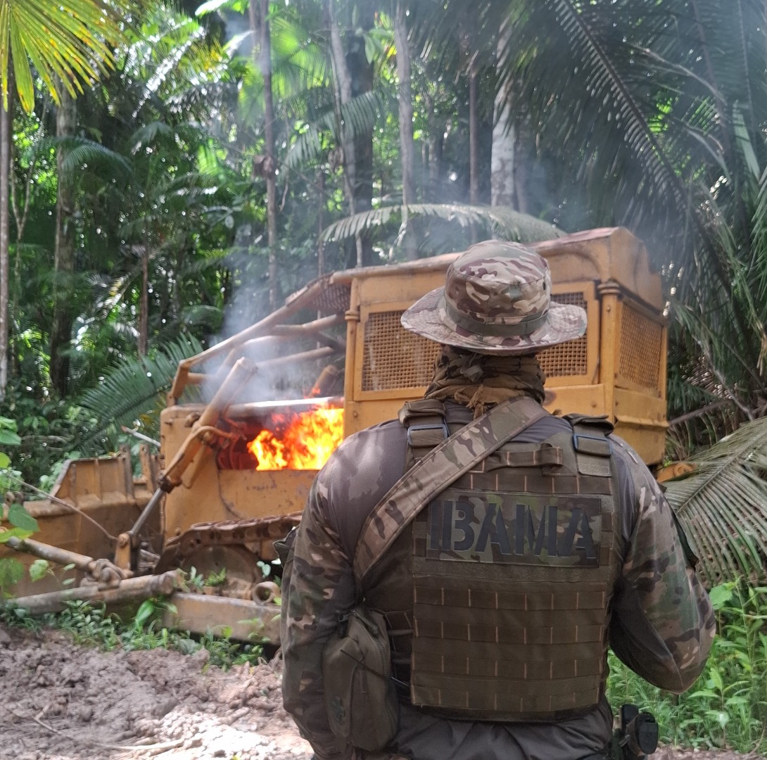  Foto: Fiscalização/Ibama