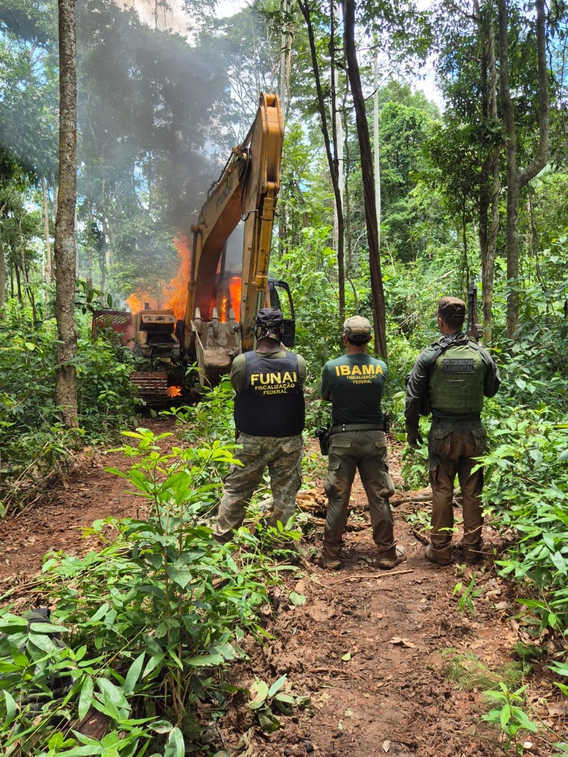  Foto: Fiscalização/Ibama