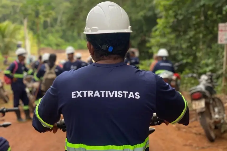 Foto: DGFLOP/IDEFLOR-Bio