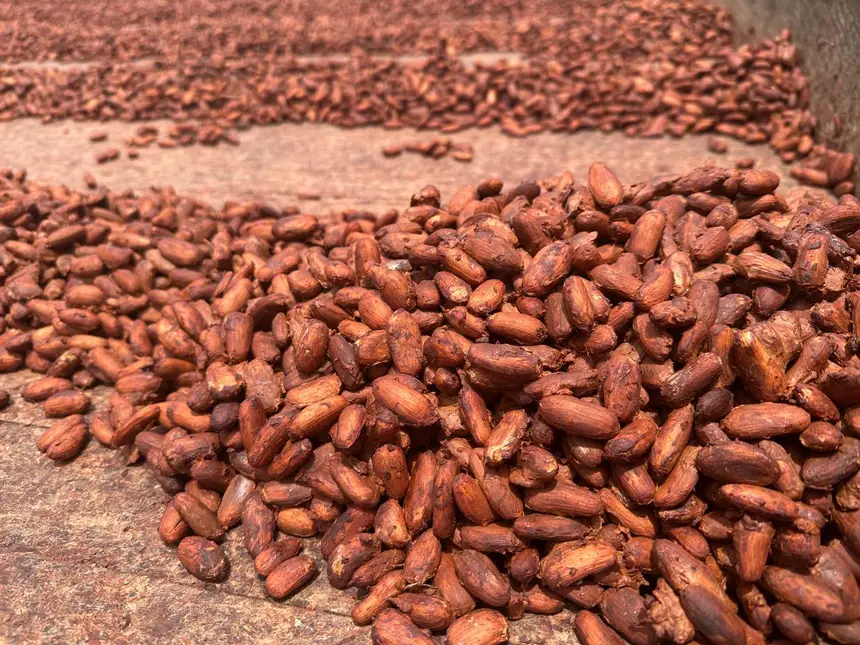 20260326130545 GC00075806 F00296328