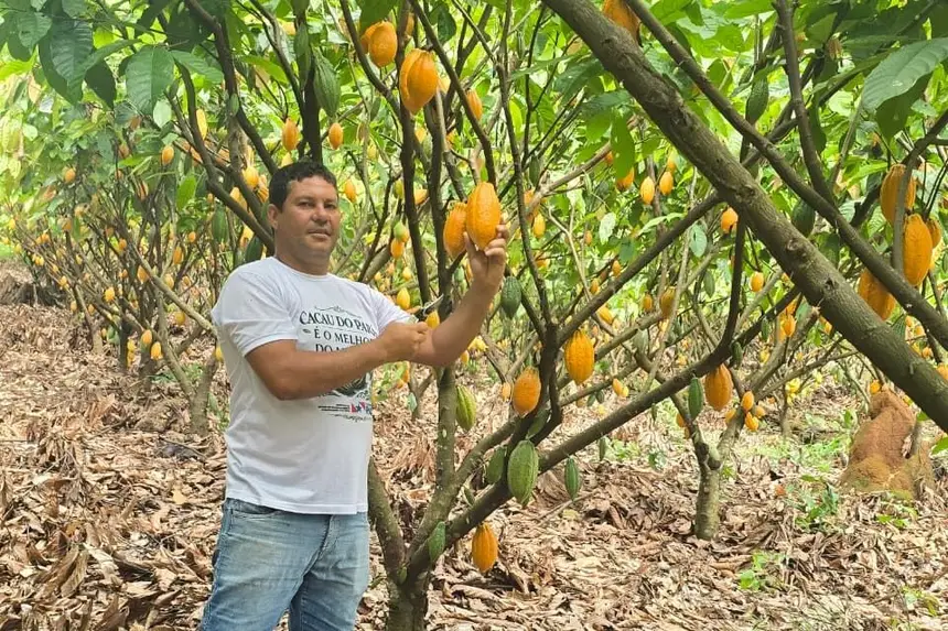 Foto: Cedidas pelo produtor Gilmar Souza
