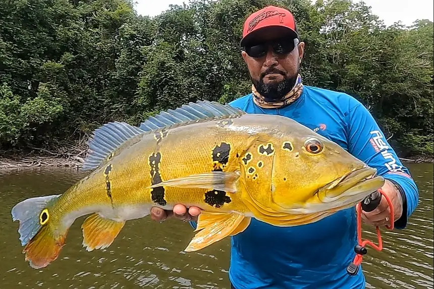 Governo estadual regulamenta atividade de pesca e impulsiona o turismo sustentável 2 Foto: Eduardo Monteiro/Associação de Pesca Esportiva do Pará