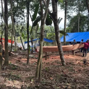 Obras da base de proteção avançam no santuário das árvores gigantes