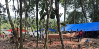 Obras da base de proteção avançam no santuário das árvores gigantes