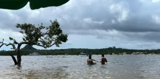 Socioeducandos da Fasepa encerram projeto cultural em Alter do Chão Ag. Pará