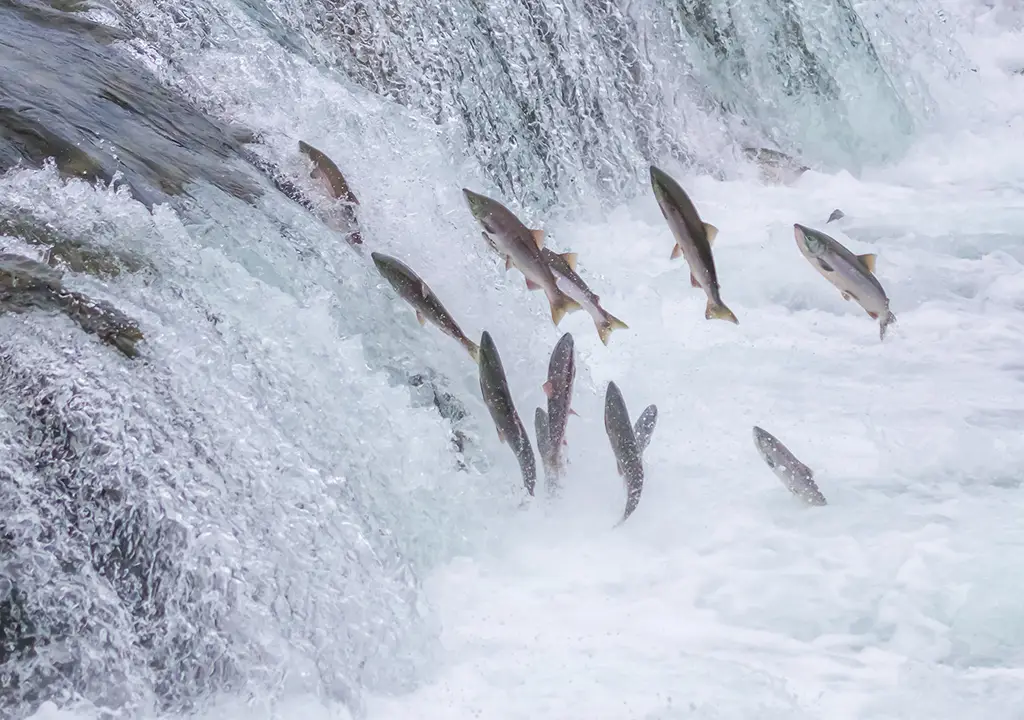 (sekarb/Getty Images/Reprodução)