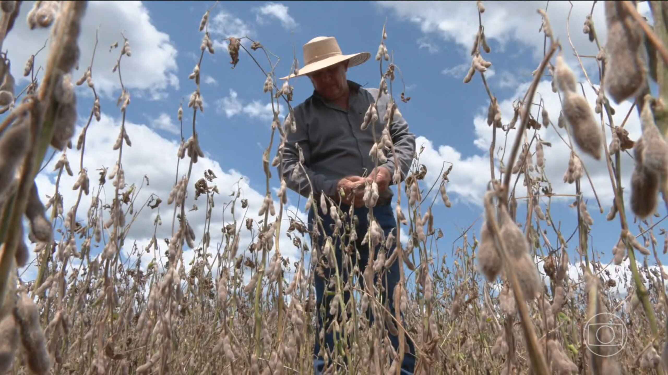 26003 83b899b5163fa41f30f38270eb87d0a8