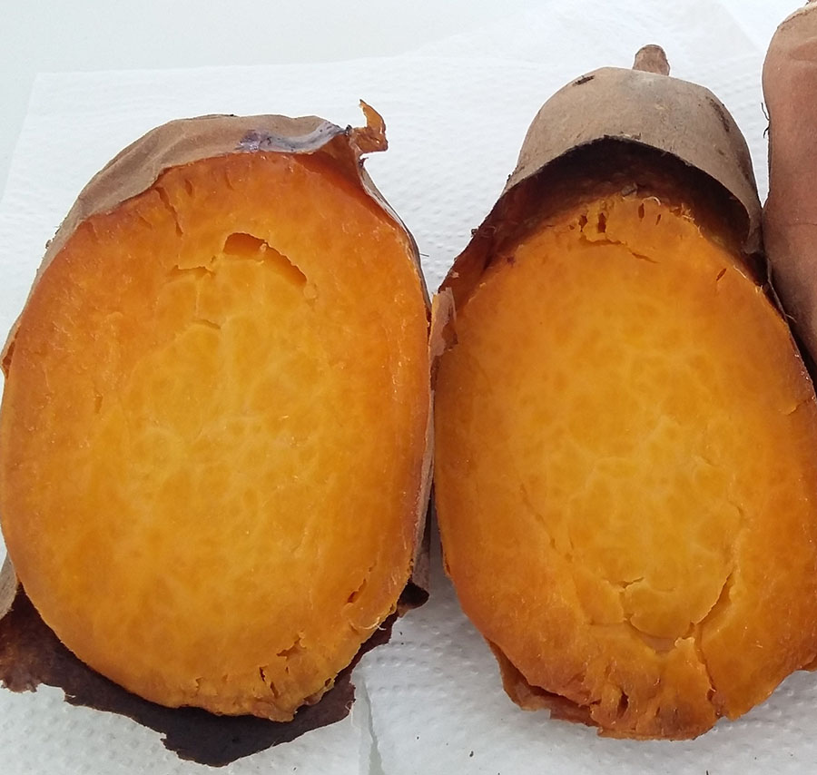 Foto: Paulo Lanzetta