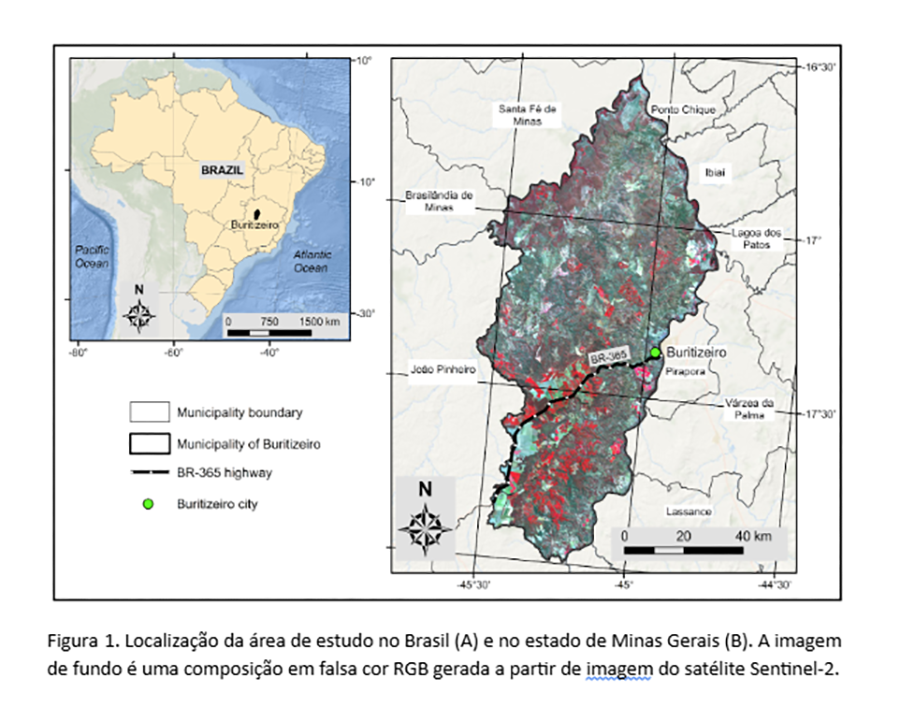 Abandono de plantios de eucalipto é mapeado com precisão de 94% por IA 1 260317 IATerrasAbandonadas figura 1