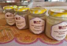 Governo do Maranhão inaugura agroindústria quilombola de babaçu em Rosário