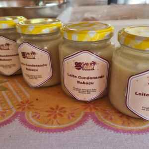 Governo do Maranhão inaugura agroindústria quilombola de babaçu em Rosário