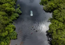 O futuro do Pantanal depende do respeito ao ciclo natural das cheias Foto: André Bittar