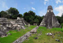 Tesouros em risco: desmatamento ameaça geoglifos inéditos revelados pelo projeto LIDAR Reprodução