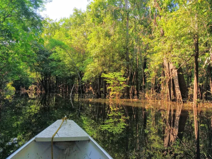 Reprodução - matoemonte