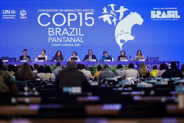 Pressão humana e hidrelétricas ameaçam o futuro dos grandes peixes migratórios 2 Foto: Ueslei Marcelino/MMA