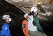 Monitoramento bioacústico revela o impacto invisível do som nos parques urbanos Foto: Maurício de Andrade/ICMBio