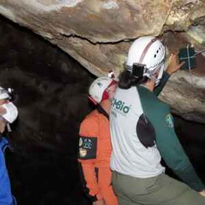 Monitoramento bioacústico revela o impacto invisível do som nos parques urbanos Foto: Maurício de Andrade/ICMBio