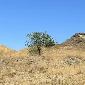 A seca aumenta micróbios resistentes a antibióticos no solo A seca é um fator determinante da resistência a antibióticos no solo, com consequências potencialmente abrangentes para a saúde pública