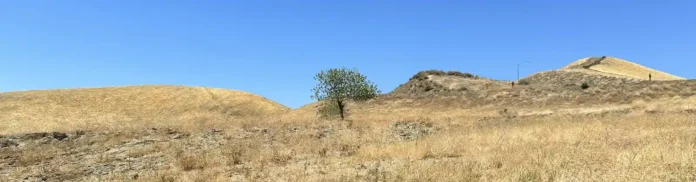 A seca é um fator determinante da resistência a antibióticos no solo, com consequências potencialmente abrangentes para a saúde pública