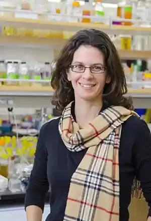 O estudo foi conduzido no laboratório de Dianne Newman, professora titular da Cátedra Gordon M. Binder/Amgen de Biologia e Geobiologia