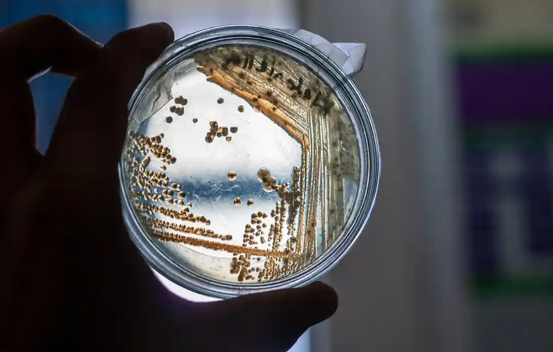 A abordagem interdisciplinar do Caltech, gera ferramentas para diagnósticos mais rápidos e novas terapias, posicionando as instituições como pioneiras no combate à resistência antimicrobiana