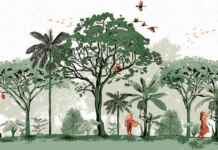 Sistemas agroflorestais garantem comida no prato mesmo durante a seca no Semiárido Reprodução - Ruraltectv