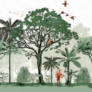 Sistemas agroflorestais garantem comida no prato mesmo durante a seca no Semiárido Reprodução - Ruraltectv