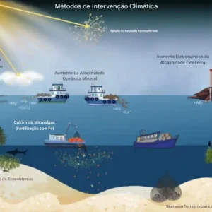 Intervenções climáticas remodelando a vida marinha Alguns dos métodos de intervenção climática que afetam o oceano incluem a fertilização com ferro (Fe)