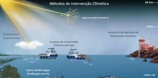 Intervenções climáticas remodelando a vida marinha Alguns dos métodos de intervenção climática que afetam o oceano incluem a fertilização com ferro (Fe)