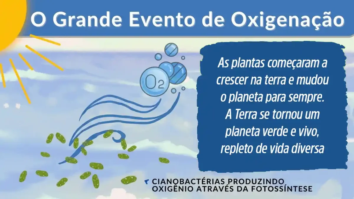 As plantas começaram a crescer na terra e mudou o planeta para sempre. A Terra se tornou um planeta verde e vivo, repleto de vida diversa